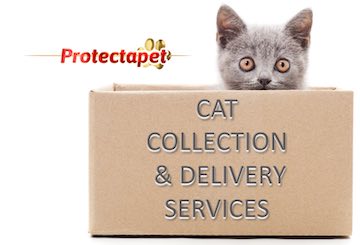 Catteries that offer a collection and delivery service for your cat 